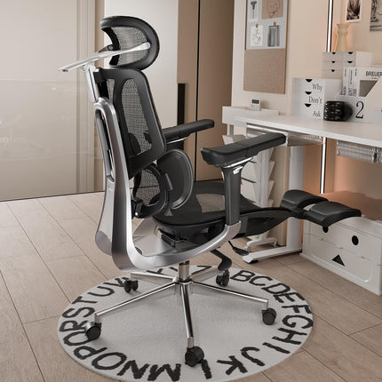 Pro Ergonomic Chair with Footrest