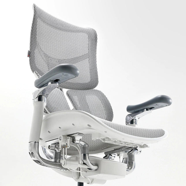 Ergonomic Bundle (Doro S300 + D03)